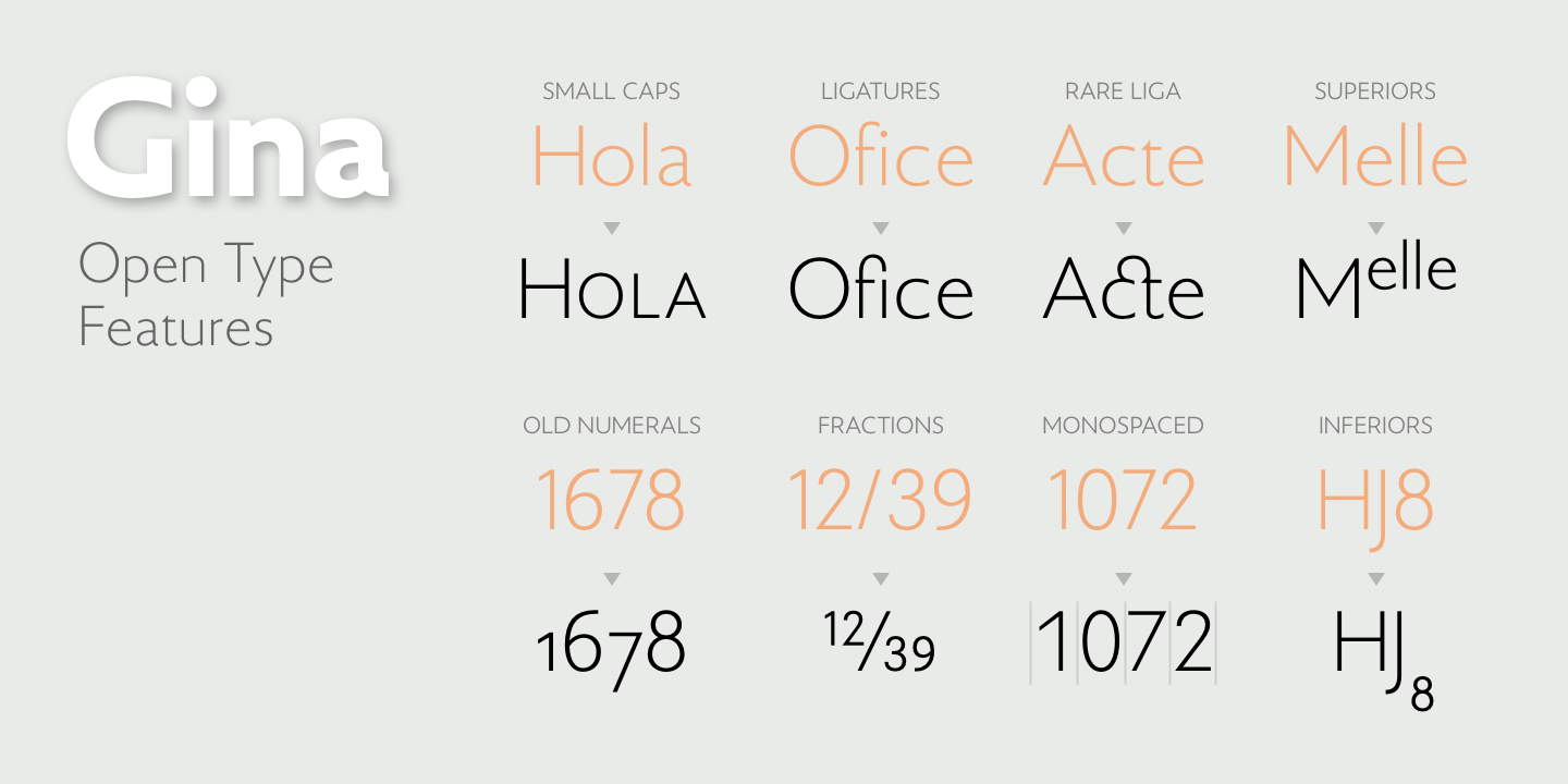 Gina Italic Font preview
